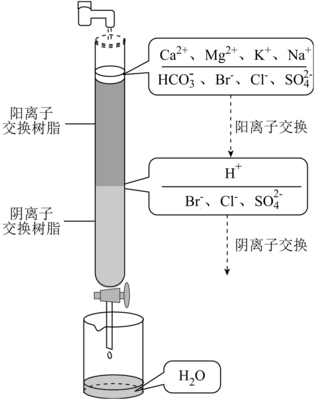 离子交换法净化水的过程如图所示。下列说法中正确的是(  )