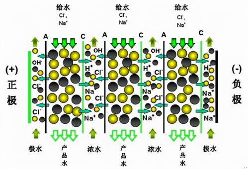 轻松买 放心用 低成本 让edi技术走进普通实验室